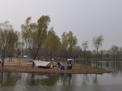 -东郊湿地公园