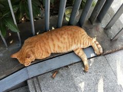 -喜茶(上海五角场万达店)