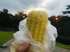 -东华大学第一食堂(松江校区店)