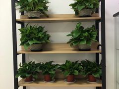 -特优手机电脑维修(中福城二期店)