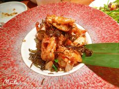 -菌自由丨野生菌火锅特色庭院餐厅(丽江古城店)