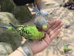 -北戴河集发农业梦想王国