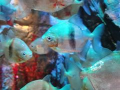 -沈阳海洋探索中心