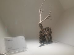 -宁波科学探索中心