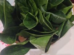 -草原传奇鲜羊火锅(桥北店)