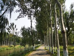 -东郊湿地公园