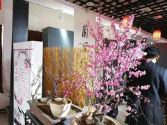 -石家庄市植物园