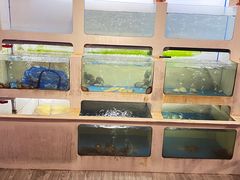 -质烤烤物·活烤海鲜(质烤总店)