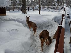 -雪谷