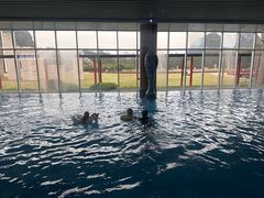 -Club Med地中海俱乐部·桂林度假村