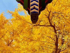 -承恩寺