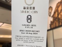 -影汇之星8字形摩天轮