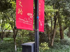 -杭州黄龙洞