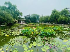 -国家植物园南园