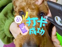-瑞鹏宠物医院·眼科·皮肤·中兽医(大悦城分院)