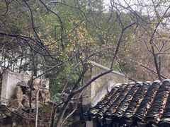 -西园戒幢律寺