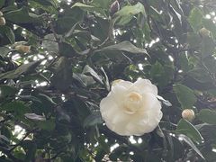 -南山植物园