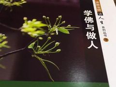 -一叶一世界·素食餐厅(锦华万达店)
