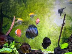 -常州海昌海洋探索馆