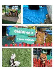 -萌宠亲子动物乐园(槐房万达店)