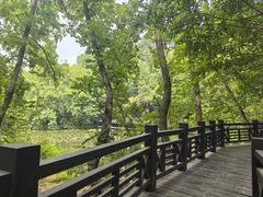 -白马涧龙池景区