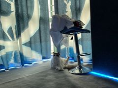 -零纪元VR体验馆·桌游(黄浦店)