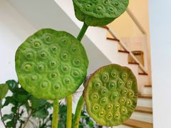 -森野花艺培训·企业团建活动沙龙