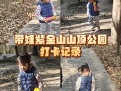 -紫金山山顶公园