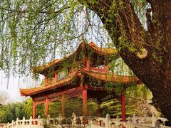-百脉泉景区