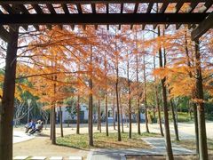 -颐景园