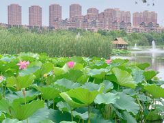 -前关湿地公园