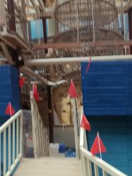 -PIPIKINGDOM皮皮王国欢乐号(欢乐海岸购物中心店)