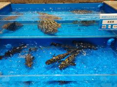 老虎斑-帝皇海海鲜豆捞(桐泾商务广场店)