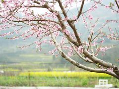 -呈坎景区