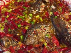 -欧记大排档·景德菜(上海首店)