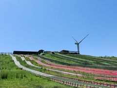 -龙里油画大草原旅游区