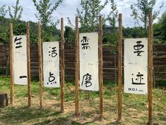 -泽雅景区