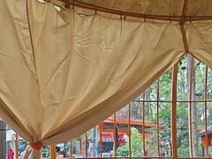 -二荆条·蜀鲜汇城市森林火锅