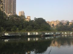 -重庆彩云湖湿地公园