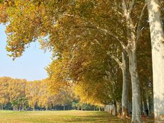 -河南省黄河迎宾馆