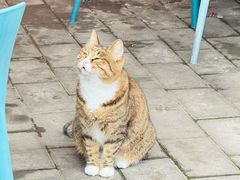 -九寨沟石锅鱼(沣峪口店)