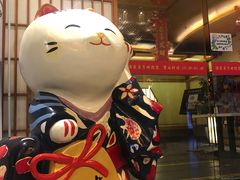 -汤泉良子(金源店)