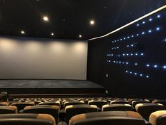 -深影国际影城(学院南路店CGS中国巨幕店)