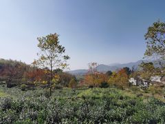 -塔川景区