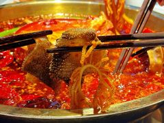 -二荆条·蜀鲜汇城市森林火锅