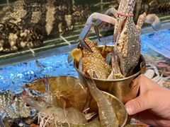 -雍容荟帝王蟹活龙虾展台自助(IFS黑金店)