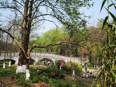 -重庆彩云湖湿地公园