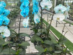 -兰陵国家农业公园