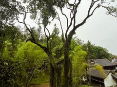 -岳麓山风景名胜区