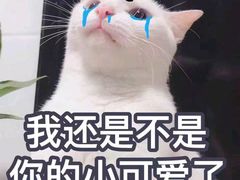 -锦尚阁烤鱼(望京新荟城店)